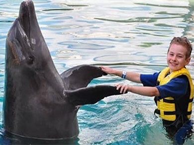 تفریحات شنا با دلفین در کیش