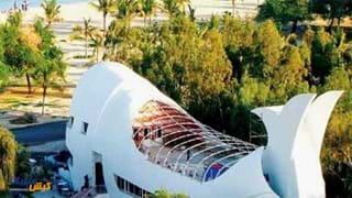 رستوران نهنگ سفید کیش رستوران نهنگ سفید کیش