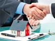 املاک کیش: لیست مشاورین املاک در کیش (آپدیت 1404)